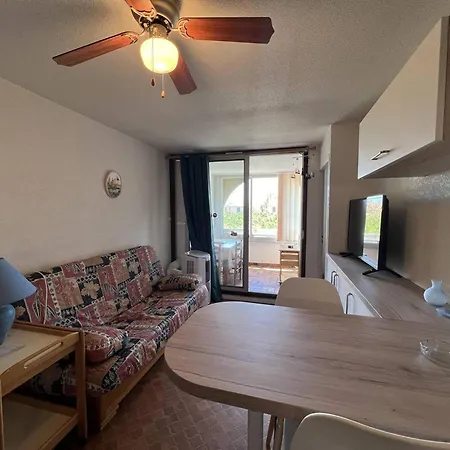 Apartamento T2 Avec Loggia, Tv, Lave-linge, Climatisation Portative, Proche Port Et A Port - Fr-1-81-621 *