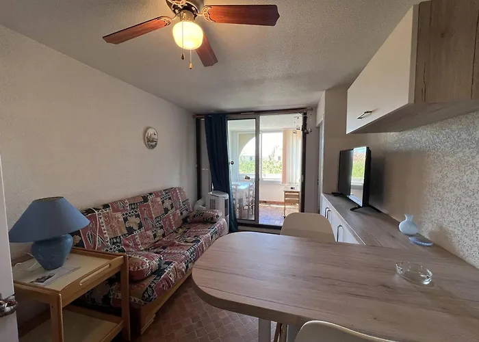Apartman T2 Avec Loggia, Tv, Lave-linge, Climatisation Portative, Proche Port Et A Port - Fr-1-81-621 *